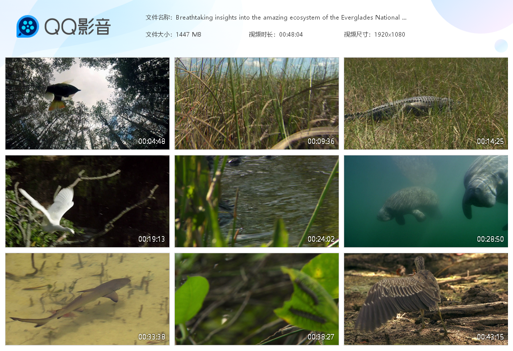 image.png 25.1G自然风景和动物视频素材，音乐mv素材视频（5563个） 视频素材